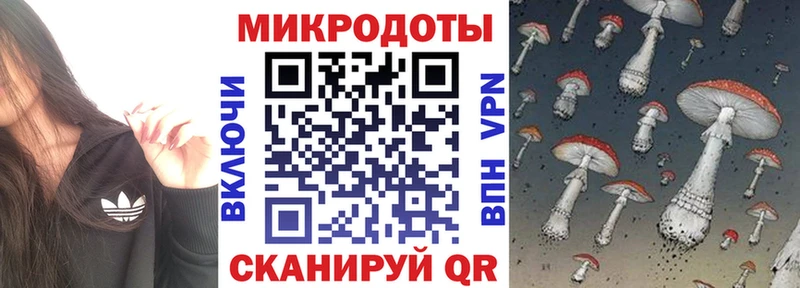 Купить закладки  Бабаево  Галлюциногенные грибы прущие грибы 
