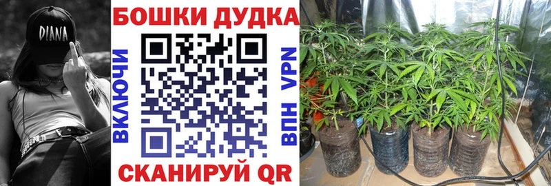 Канабис SATIVA & INDICA  Купить закладки  Бабаево 